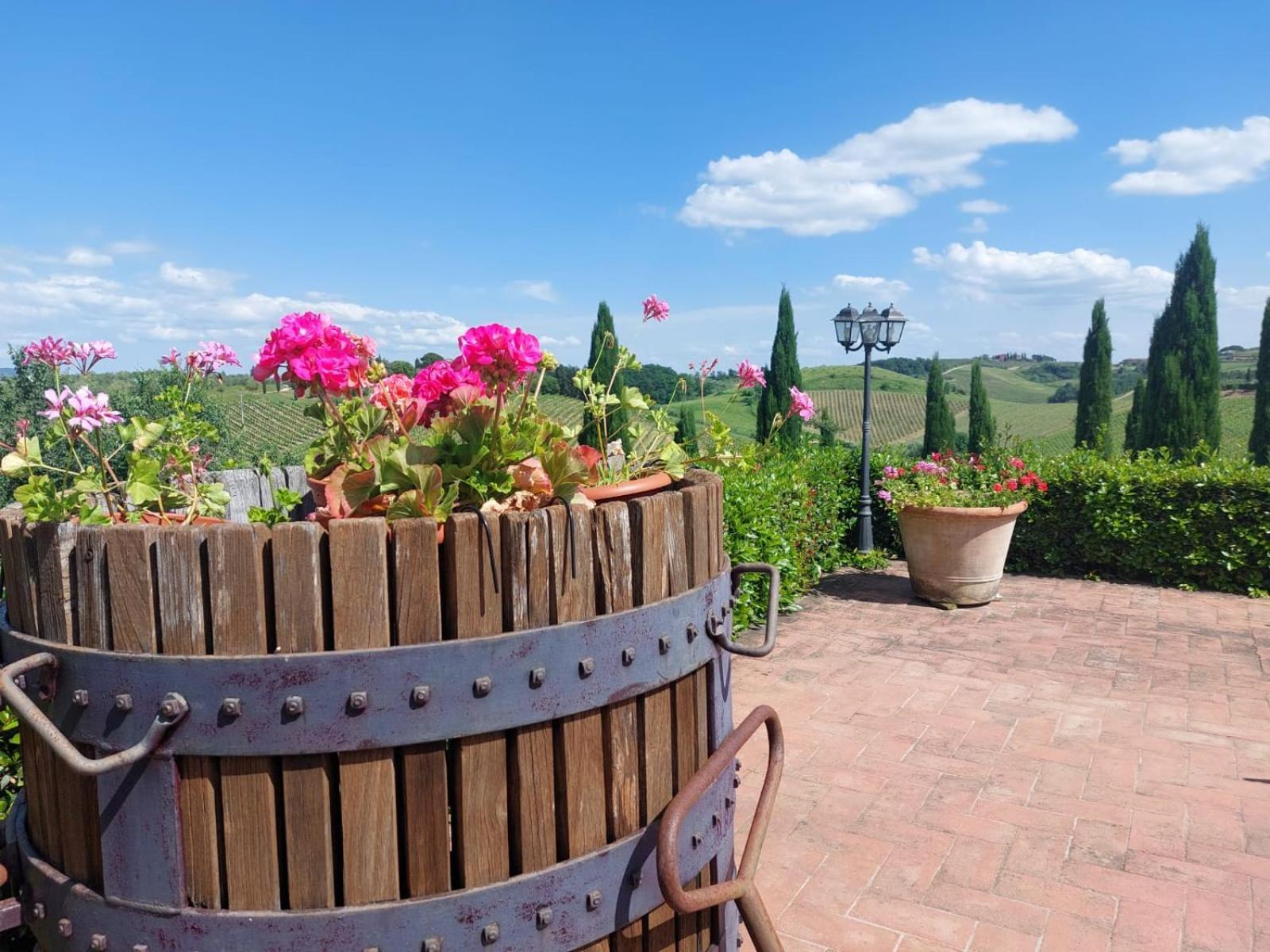 Agriturismo Corte In Poggio Stabbia Dış mekan fotoğraf