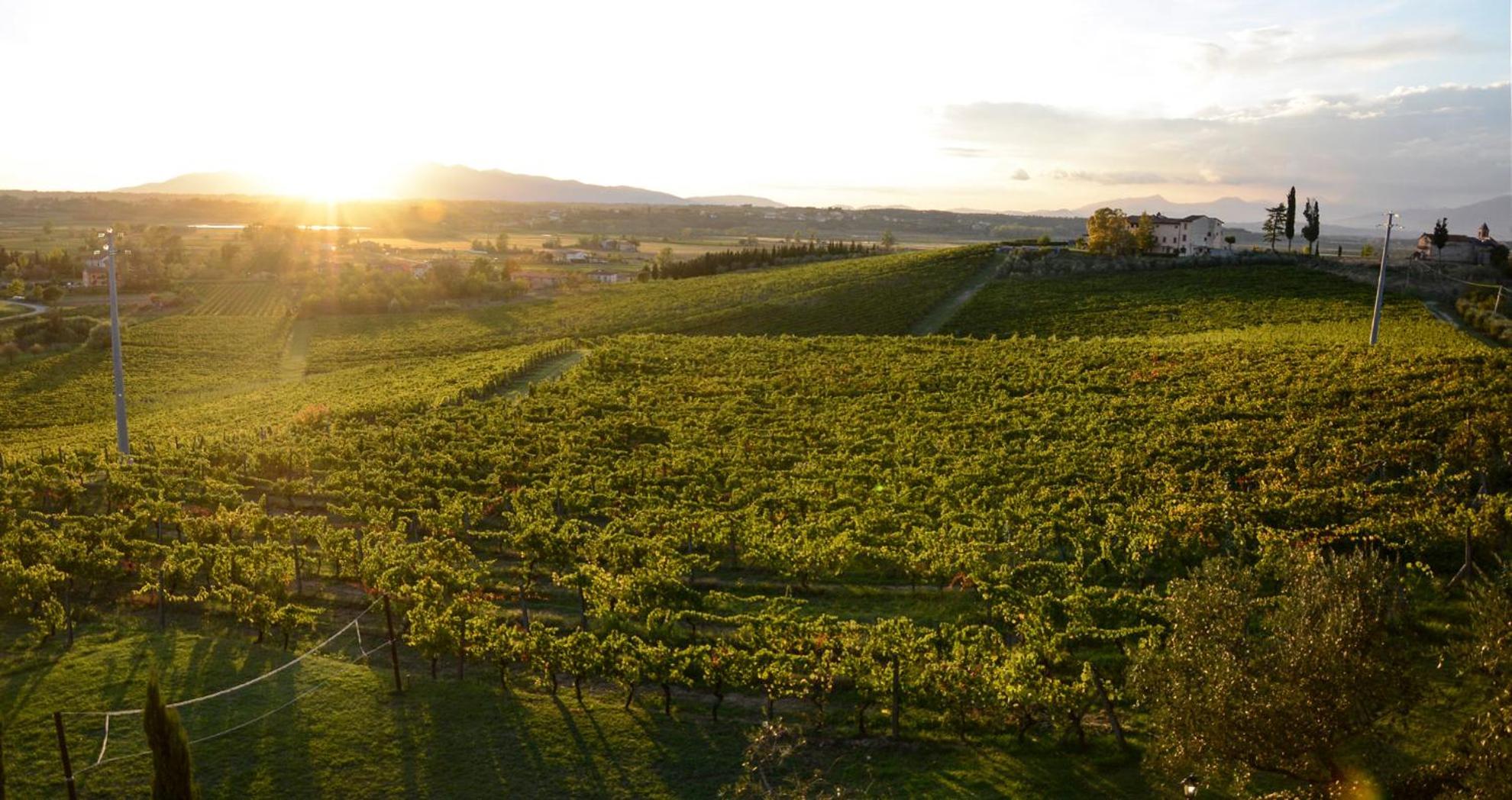 Agriturismo Corte In Poggio Stabbia Dış mekan fotoğraf