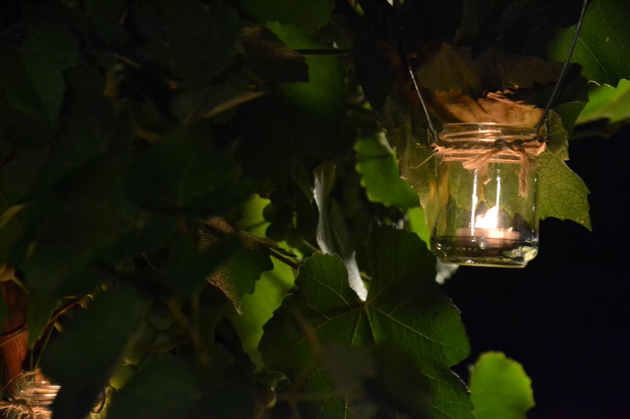 Agriturismo Corte In Poggio Stabbia Dış mekan fotoğraf